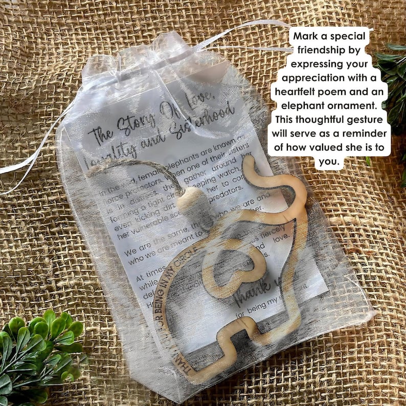 šFriendship gift ⢠sisterhood elephant