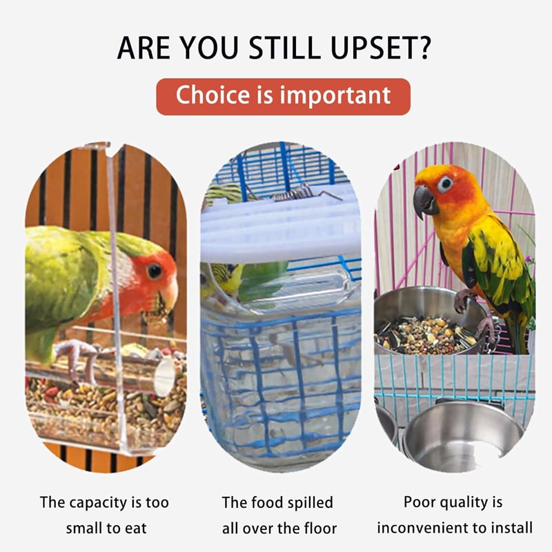 đ„No Mess Automatic Bird Feeder