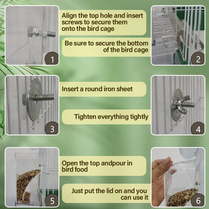 đ„No Mess Automatic Bird Feeder