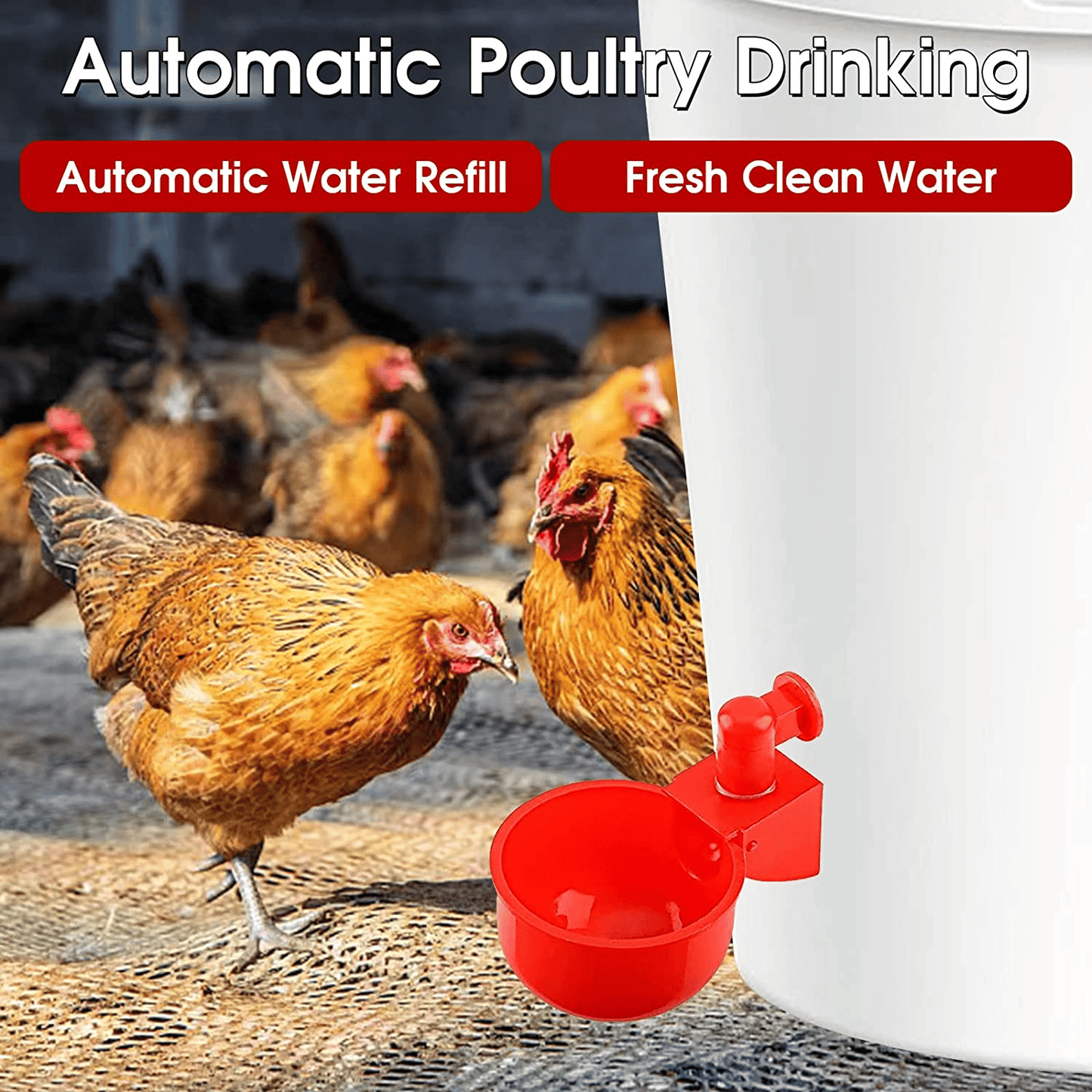 (HOT SALE) 6PCS/SET Automatic Poultry Drinking Bowl - Buy 2 Get 1 Free