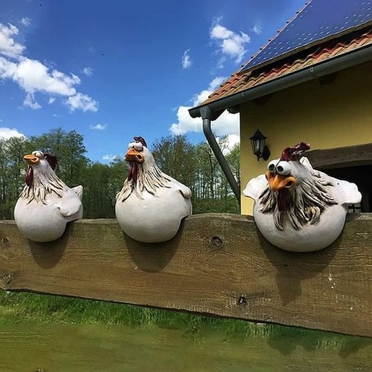 🔥🔥Funny Chicken Garden Fence Decoration