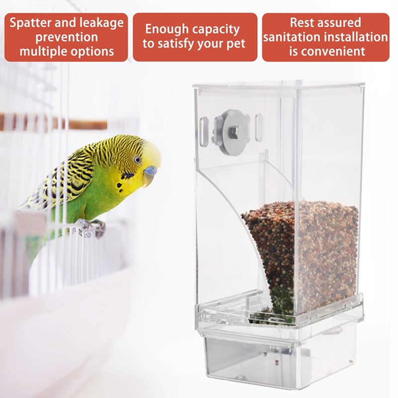 đ„No Mess Automatic Bird Feeder