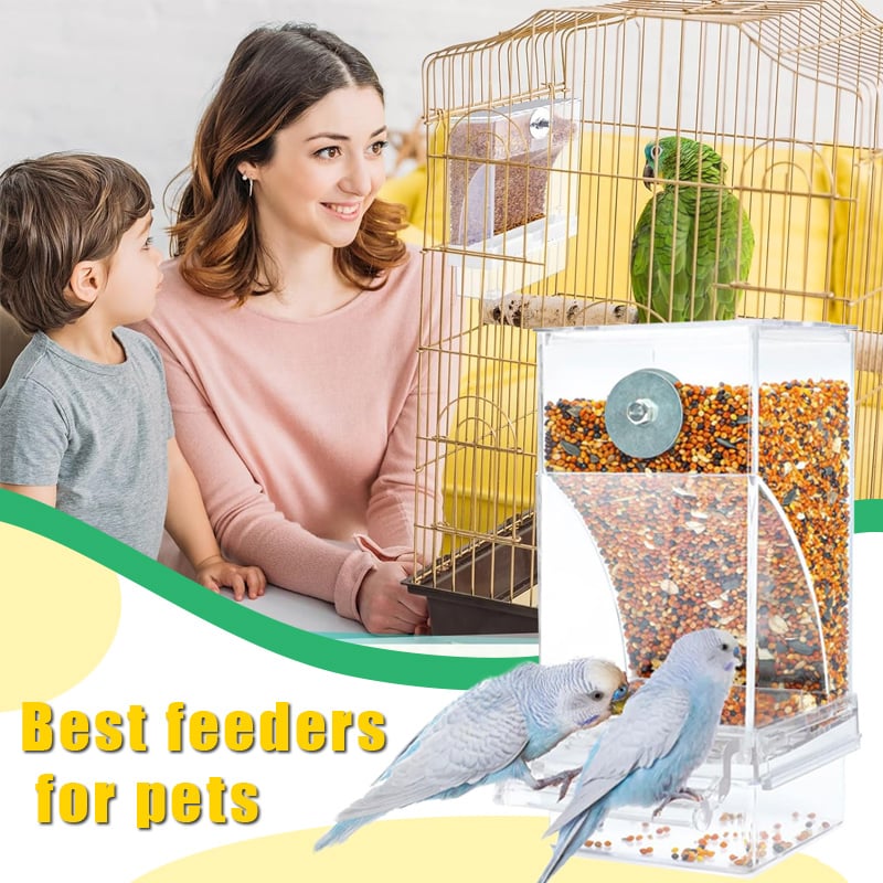 đ„No Mess Automatic Bird Feeder