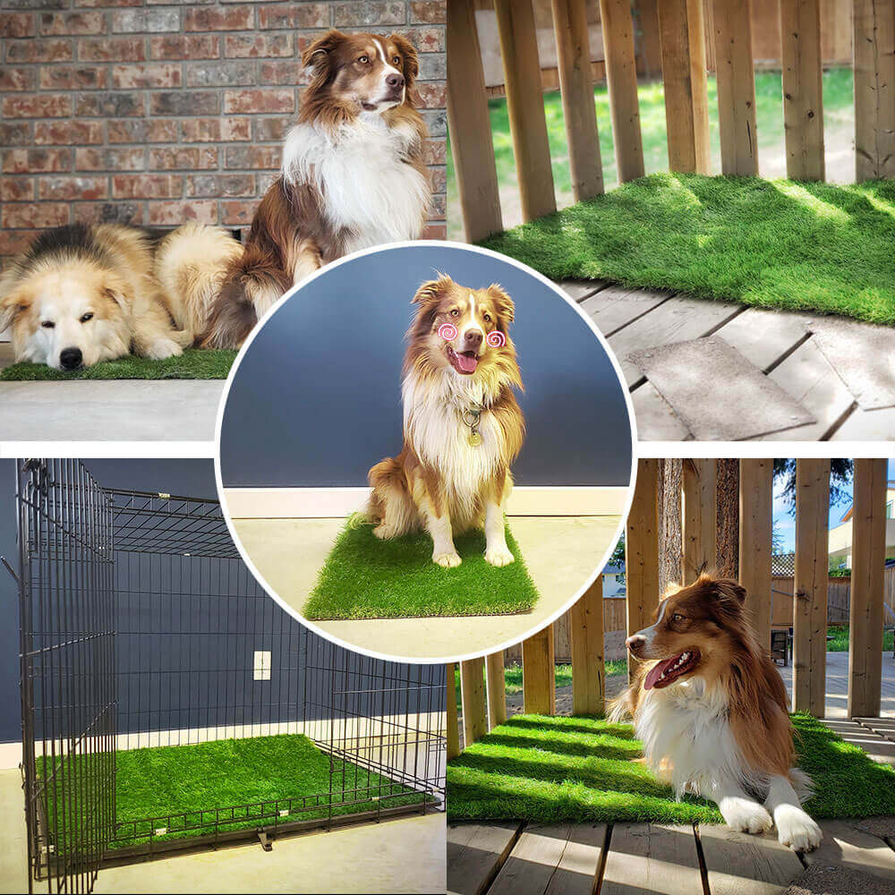 🎄 Dog Grass Pee Pads