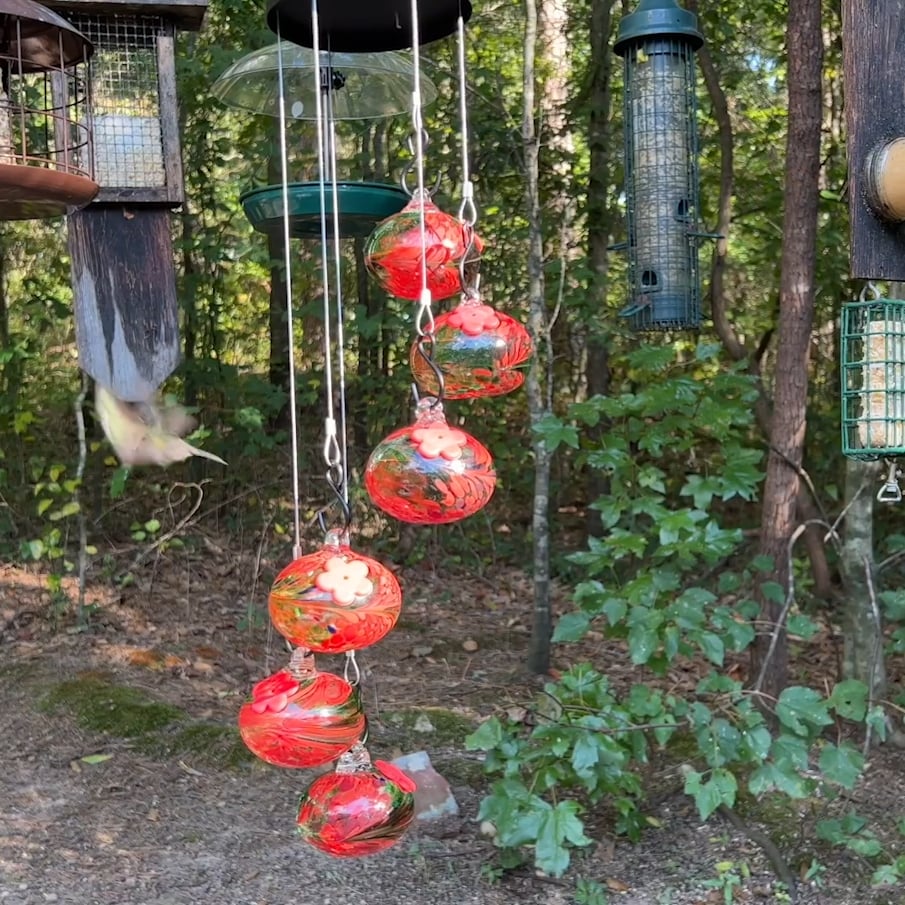 🎉🎉Charming Wind Chimes Hummingbird feeders